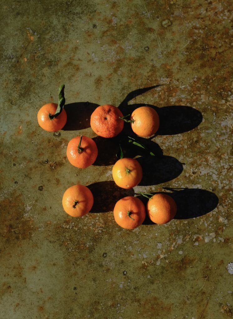 Photo Le temps de l’automne de l'artiste Gaëlle COZ